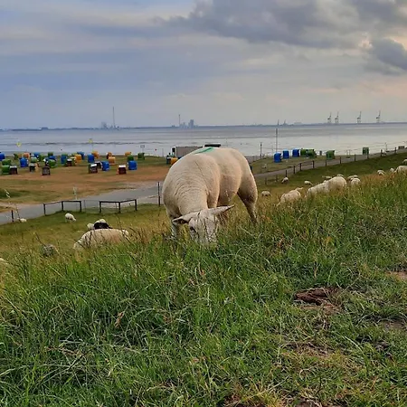 Holiday home 39 In *